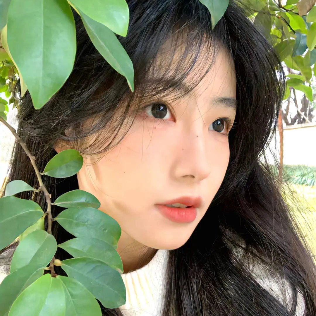 摇曳百合第一季